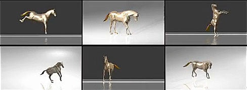 horse_motion_capture_freestyle
