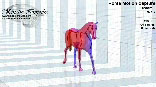 horse_mocap_treadmill_data