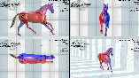horse_mocap_treadmill_data_quad