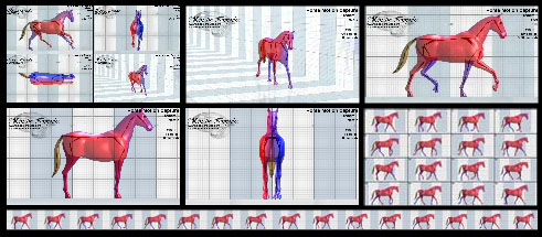 horse_motion_capture_data_treadmill